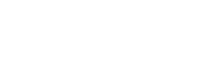 Americo logo